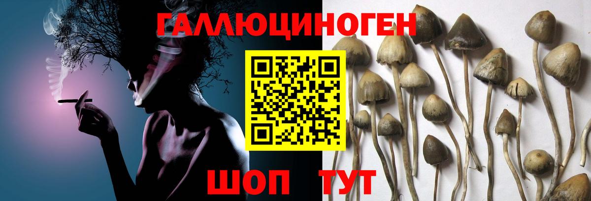 цена наркотик  Вход с VPN  Обнинск  Галлюциногенные грибы Psilocybe 